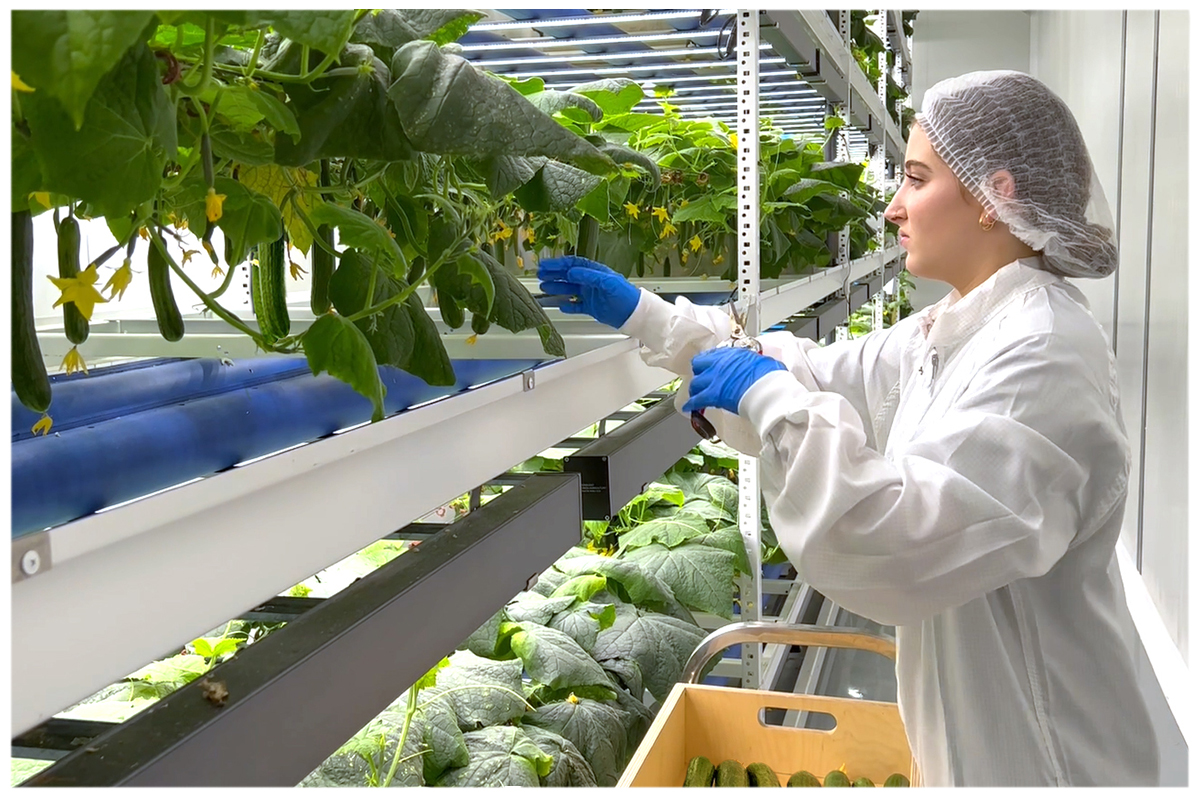 Indoor Vertical Farming Grow Tec