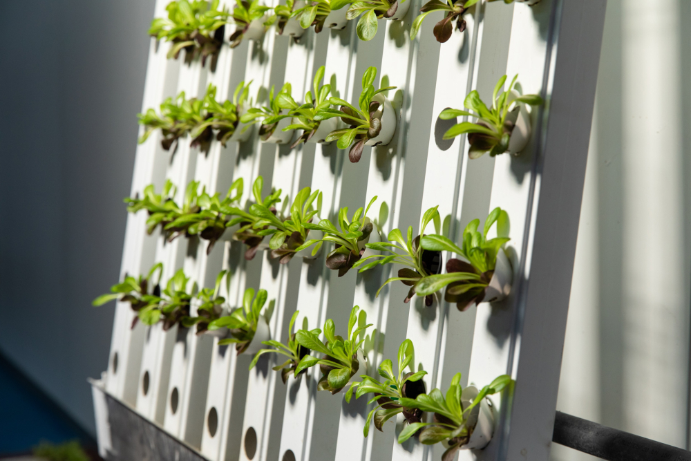 intercropping indoor vertical farming grow-tec