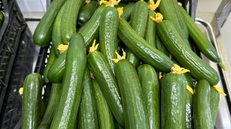 We now yield 1050kg of cucumbers and 626kg of tomatoes per m2 annually