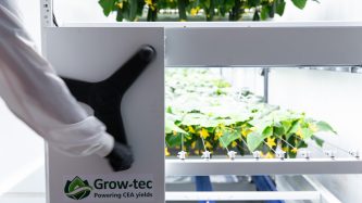 Pioneering the Future of Vertical Farming