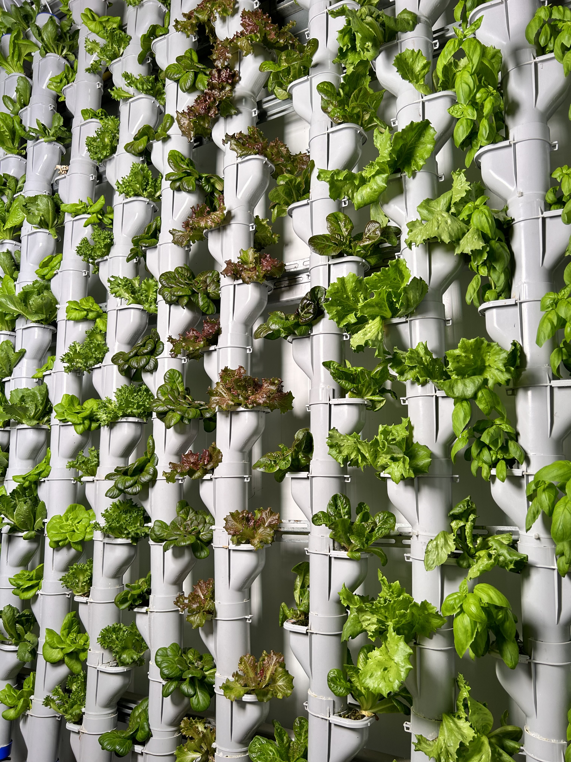 ドージングポンプ　グローテック Growing systems - Grow-Tec